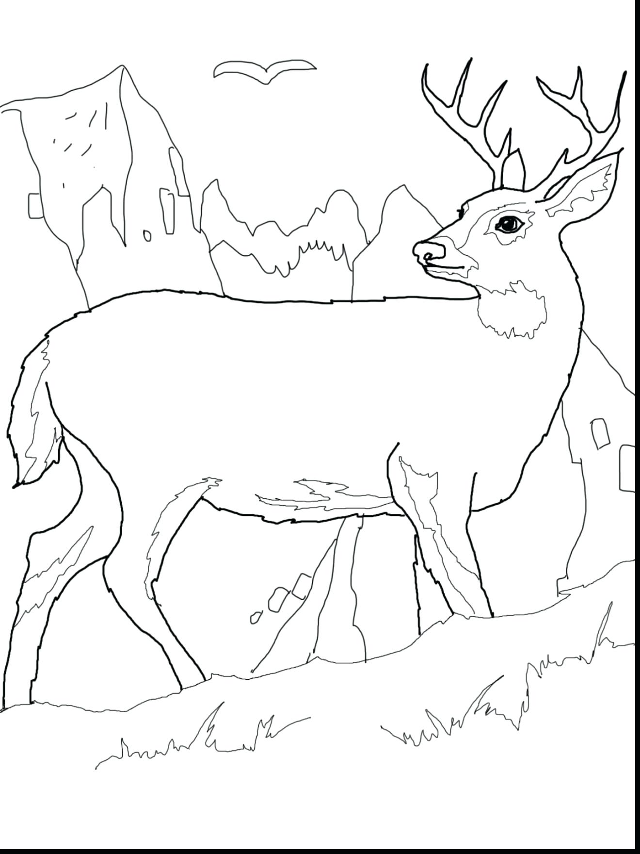 1320x1760 Combine Coloring Page