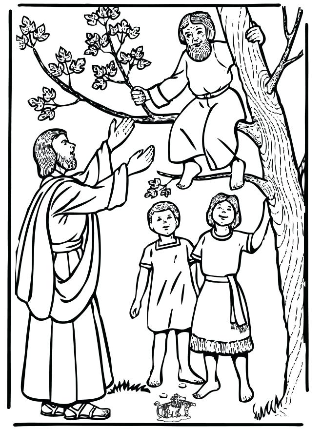 660x880 Free Coloring Pages Bible