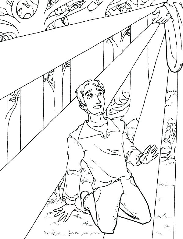 600x785 Joseph Smith Coloring Page Smith Coloring Page Smith First Vision