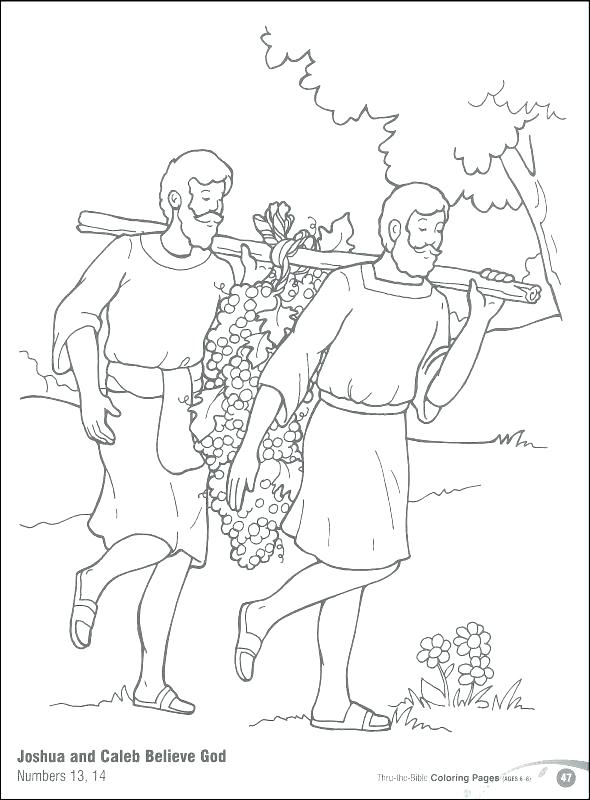 590x800 Joshua And Caleb Bible Coloring Pages Is Named The Successor