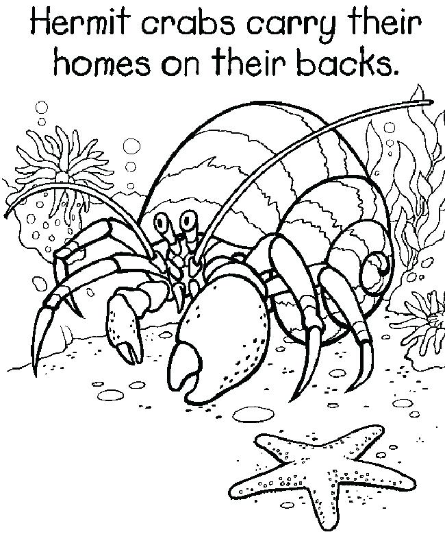 650x789 Coloring Sheets Also Coloring Sheets Coloring Pages Colouring