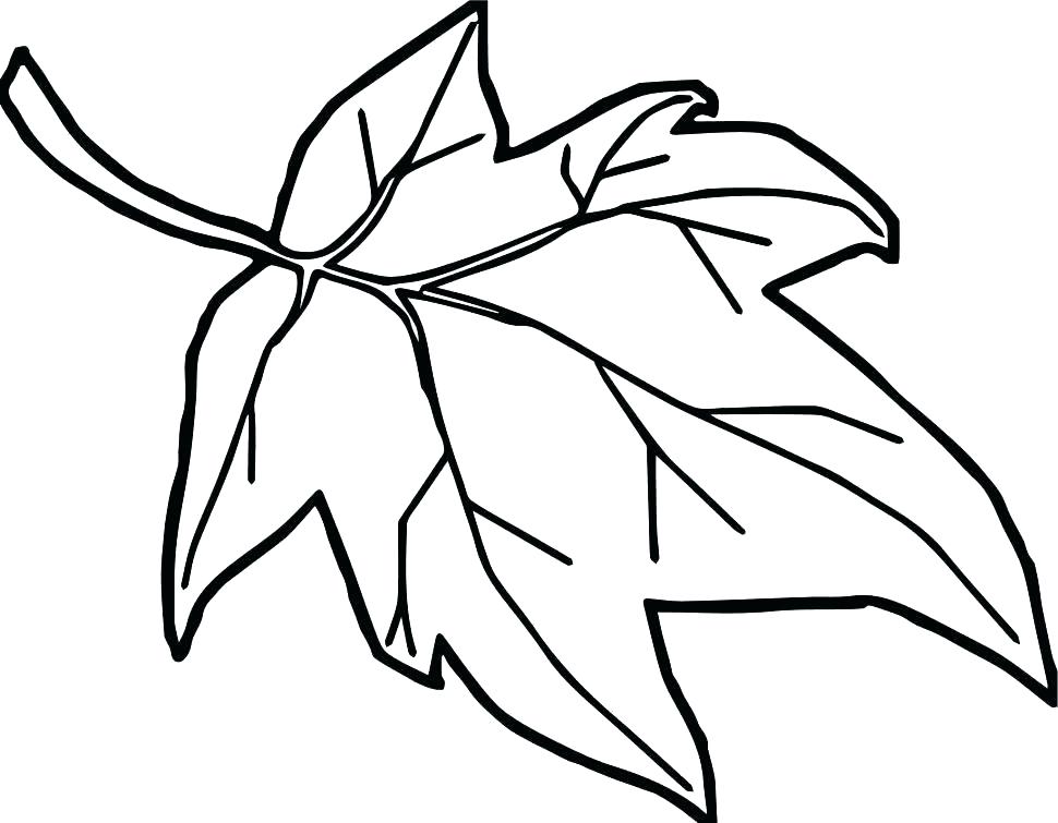 970x755 Orange Coloring Page Orange Coloring Pages For Toddlers Free