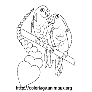 300x300 Free Coloring Pages Of Jumanji Animated Lovely Coloriage Perroquet
