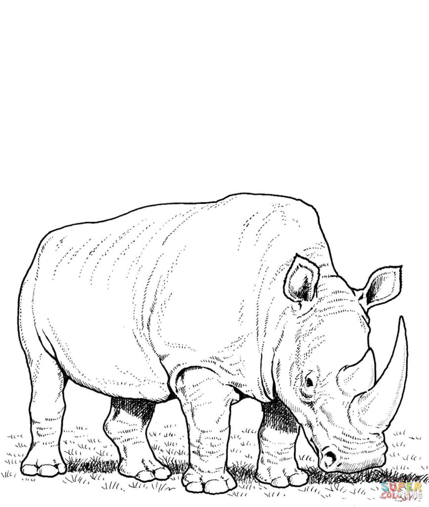867x1024 Rhino Coloring Pages Free And Rhinoceros