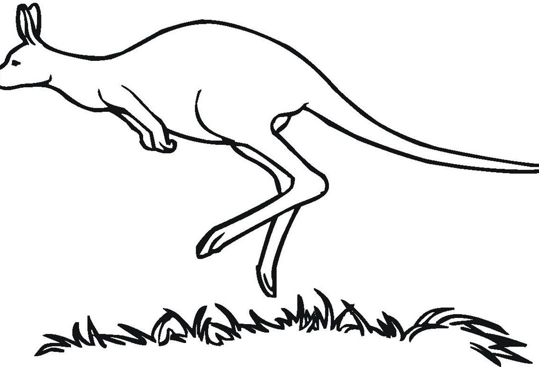 1080x735 Free Printable Kangaroo Coloring Pages For Kids New Page Glum