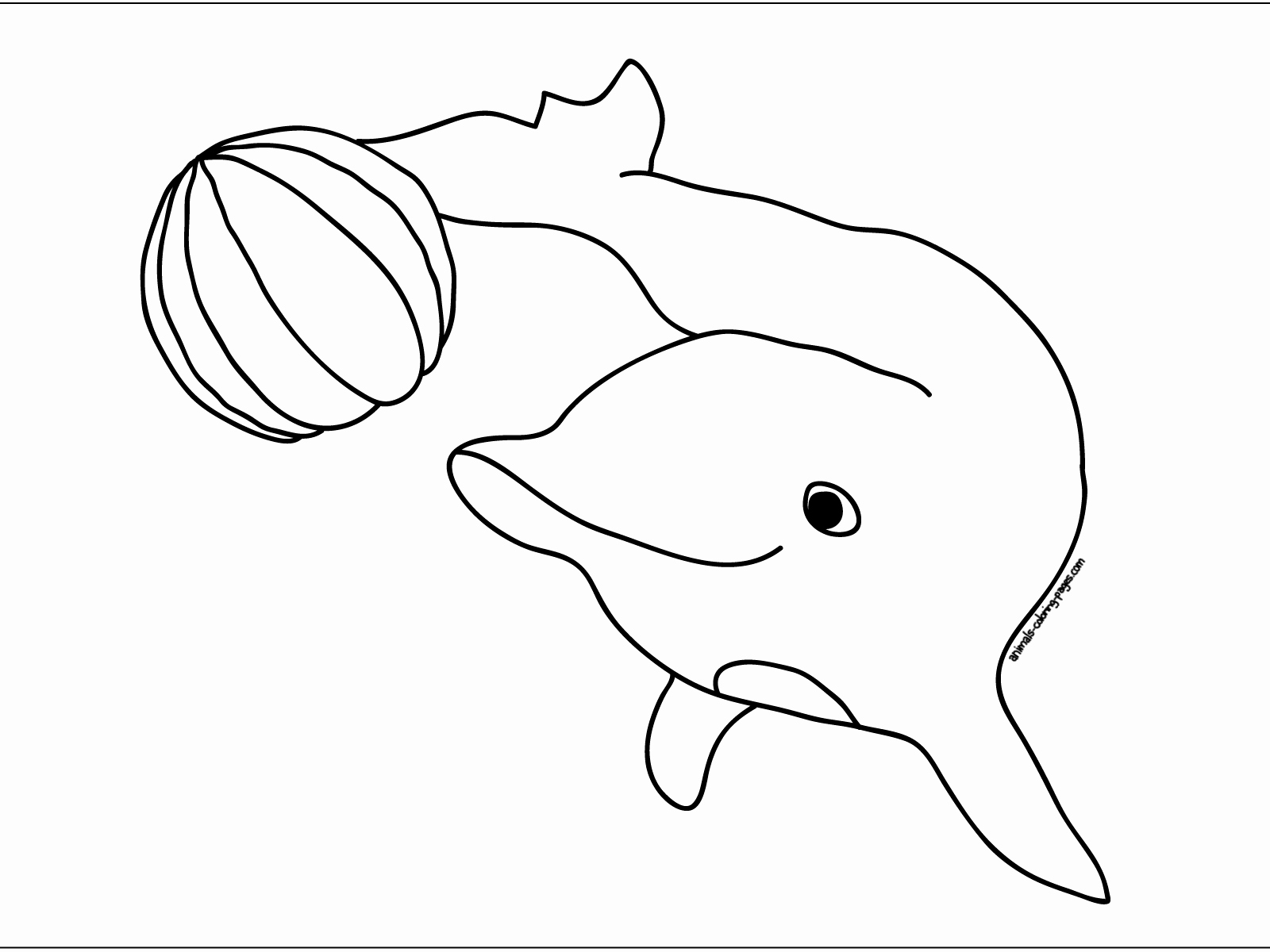 1600x1200 Kite Coloring Pages Fresh Cute Dolphin Jump Colour Drawing Hd
