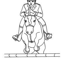 220x220 Steeplechase Horse Racing Coloring Pages