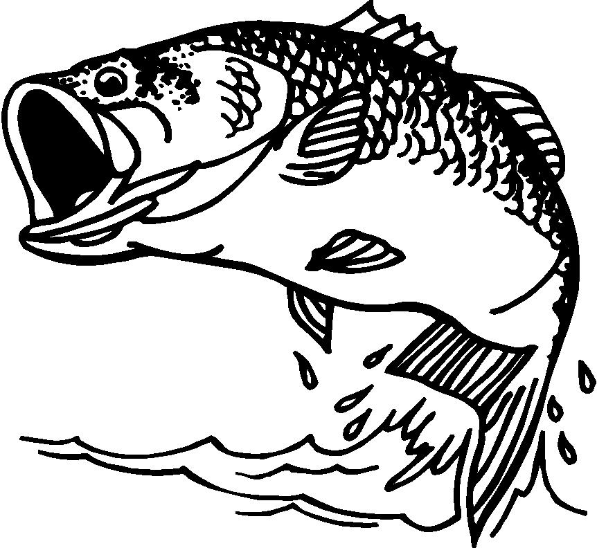 862x792 Bass Fish Coloring Pages