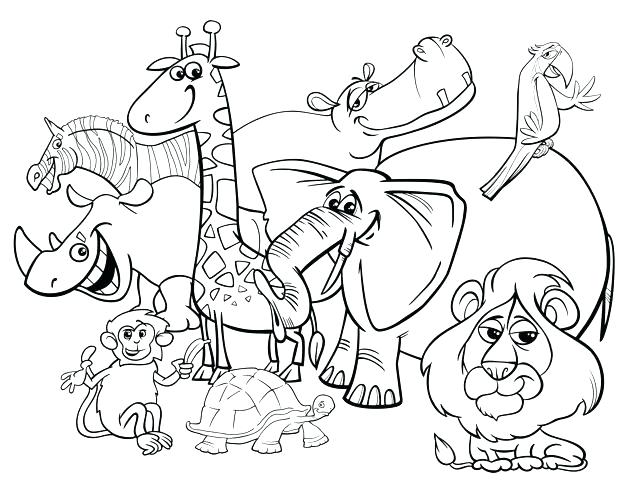 625x489 Jungle Animals Coloring Page Jungle Animal Coloring Sheets