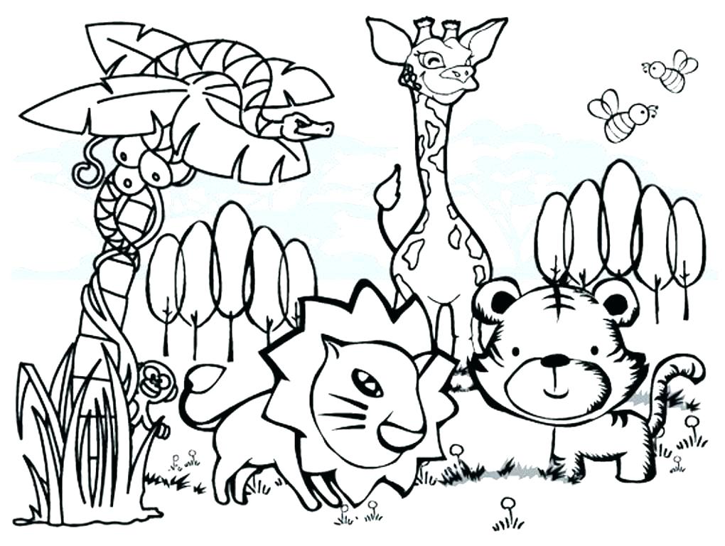 1020x768 Rainforest Animals Coloring Pages Animals Coloring Pages Preschool