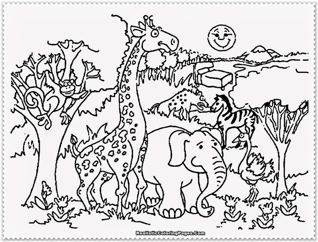 Jungle Animals Coloring Pages Preschool