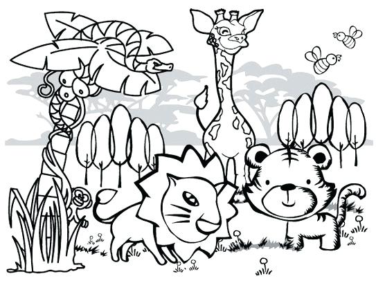 543x409 Jungle Animals Coloring Pages With 9 Jungle Animals Coloring Pages