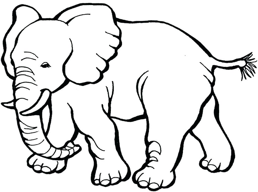 1024x761 Animal Coloring Pages Preschoolers Animal Coloring Pages