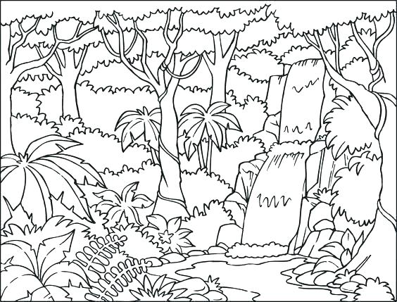 564x429 Free Coloring Pages Jungle Scenes Jungle Coloring Pages Free
