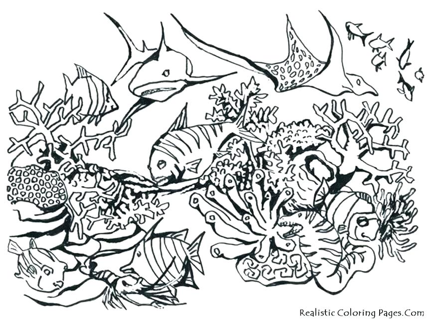 863x647 Animal Print Coloring Pages Jungle Printable Coloring Pages Best
