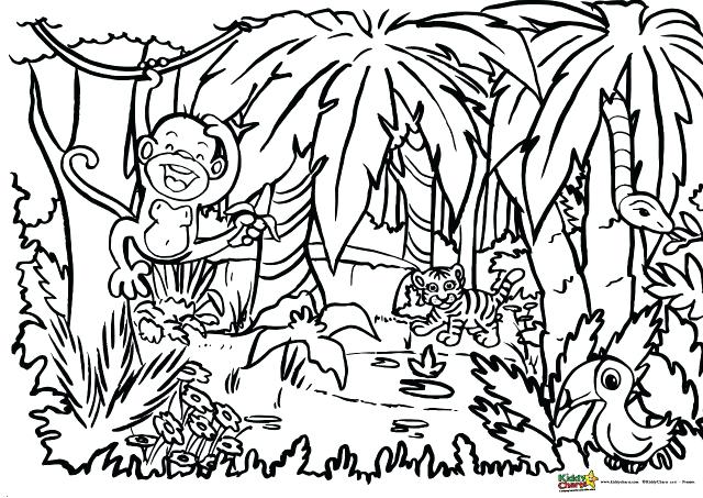 640x453 Jungle Animal Coloring Pages Jungle Bird Parrot Coloring Pages