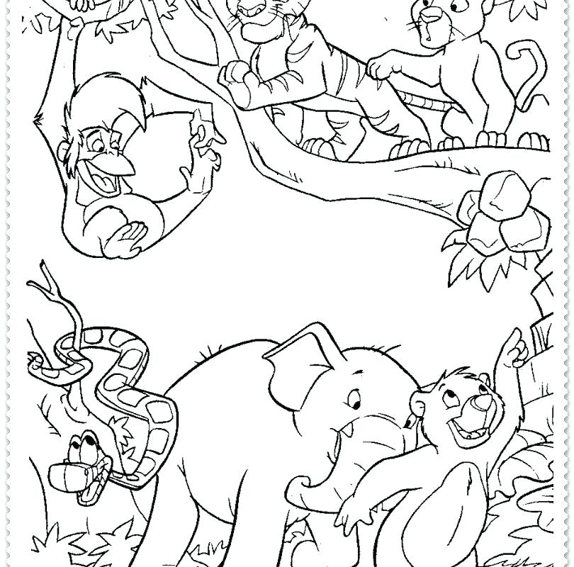 810x800 Jungle Coloring Pages Printable