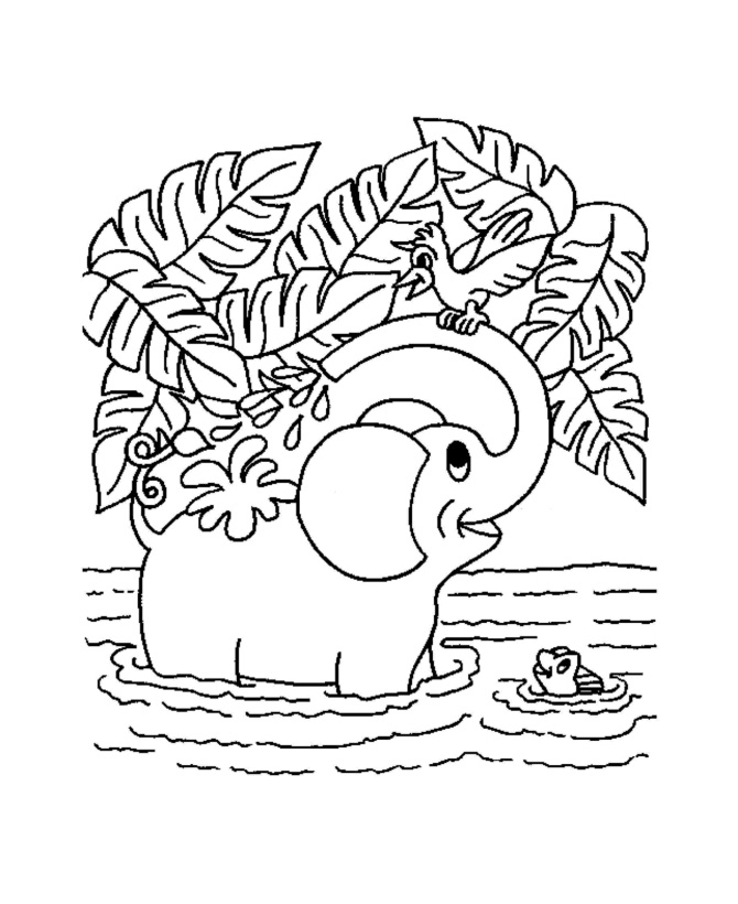 Jungle Coloring Pages For Preschoolers