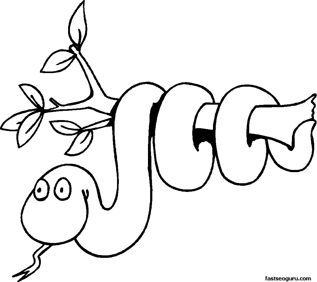 1024x911 Jungle Animal Coloring Pages 4