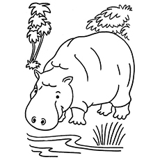 230x230 Top 10 Free Printable Jungle Animals Coloring Pages Online