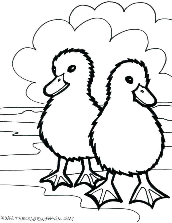 687x893 Animal Coloring Pages For Preschoolers