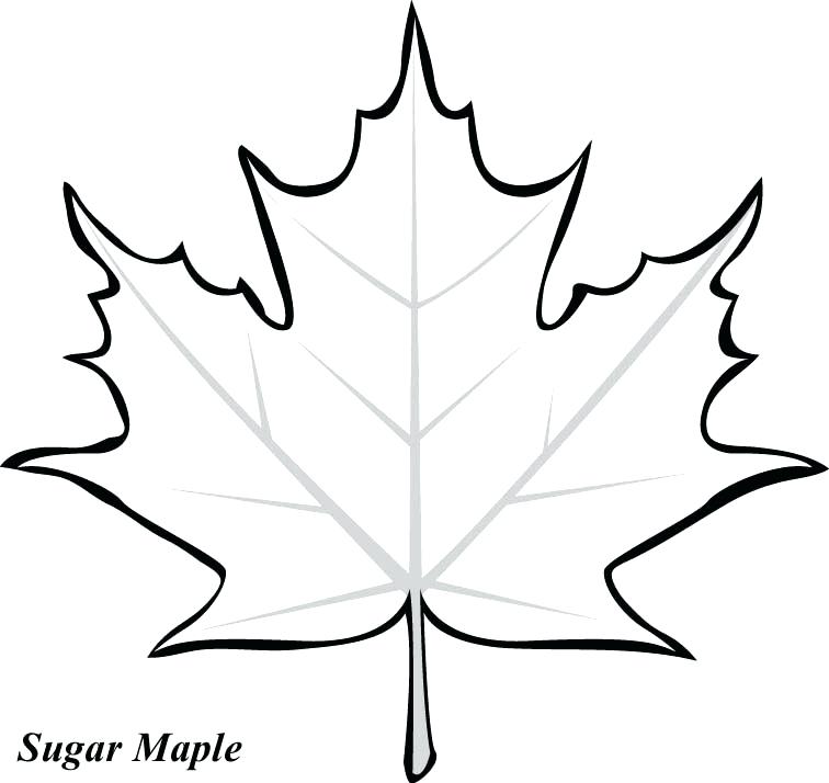 756x714 Jungle Leaves Coloring Pages