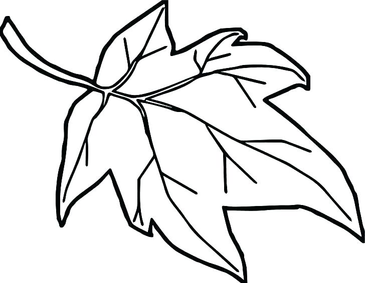728x566 Leaves Coloring Page Orange Coloring Page Fall Leaf Coloring Page