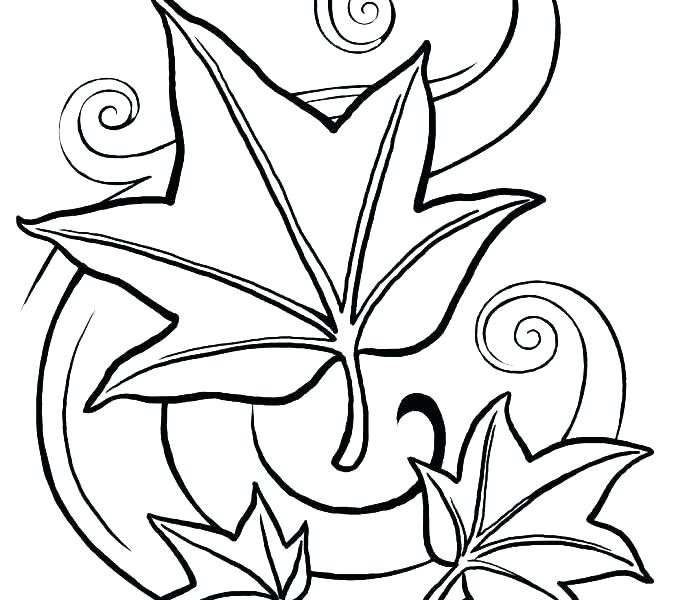 678x600 Leaves Coloring Pages Download And Jungle Leaves Coloring Pages