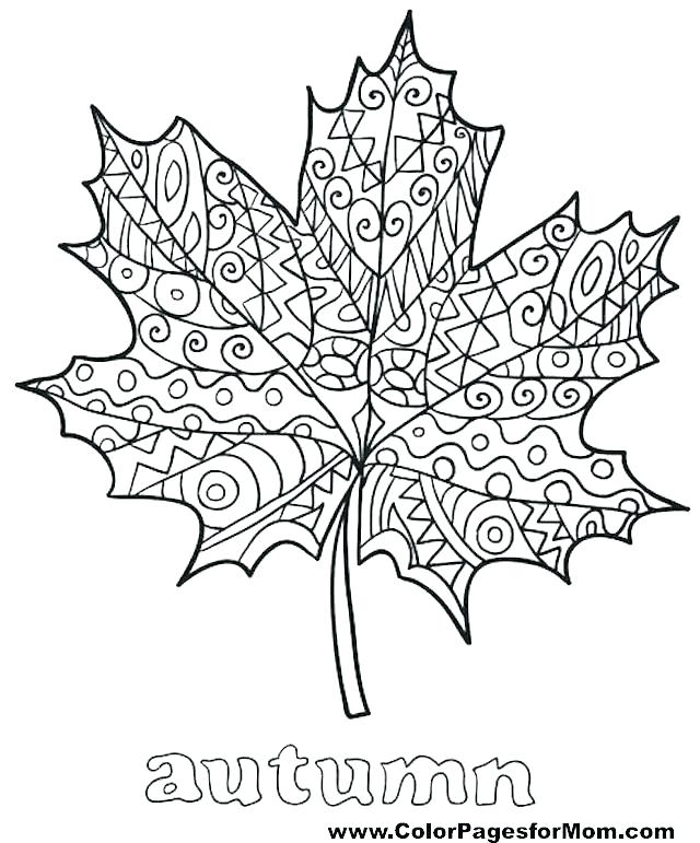 640x771 Leaves Coloring Pages Good Jungle Leaves Coloring Pages Fee Free