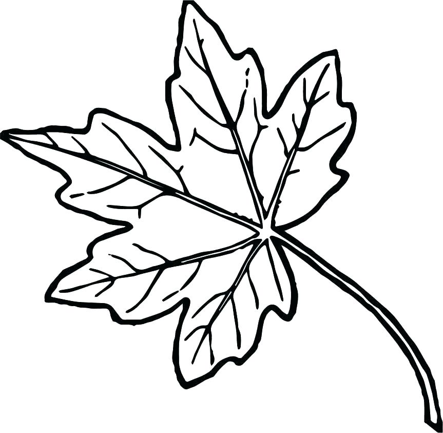 863x843 Tree Without Leaves Coloring Pages Coloring Pages