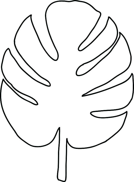 557x753 With Leaf Printable Coloring Pages Free Printable Jungle Leaf