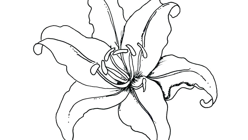 960x544 Holly Leaves Coloring Pages Grandmaman.site