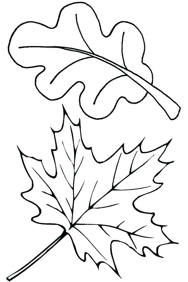 600x900 Jungle Printable Coloring Pages