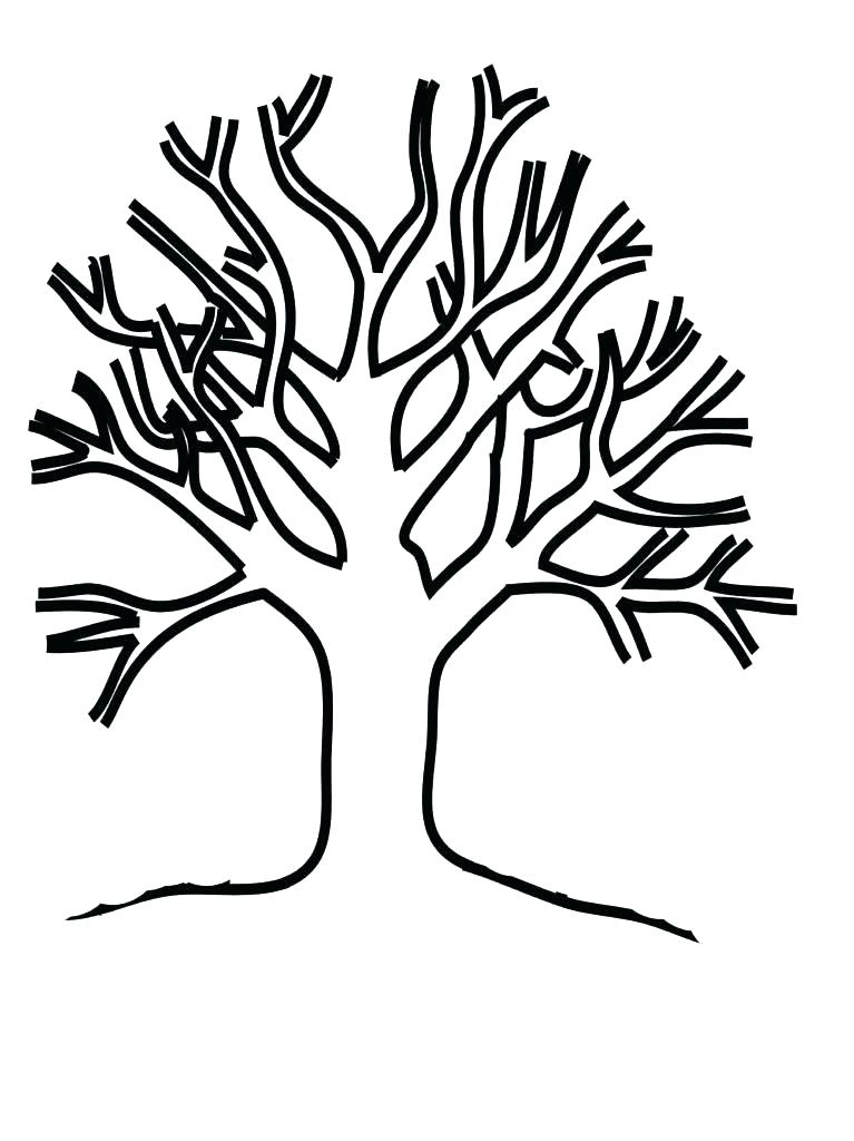 767x1024 Coloring Pages Leaves Palm Leaf Coloring Page Coloring Page Leaf