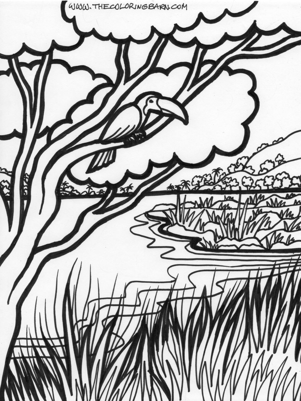 Jungle Plants Coloring Pages