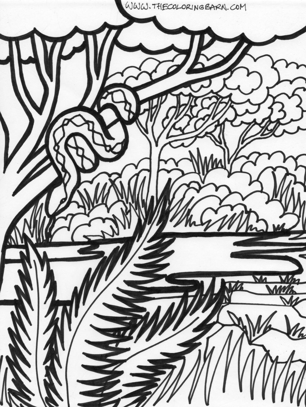 1000x1327 Jungle Coloring Sheets Coloring Page Jungle Scene Coloring Page