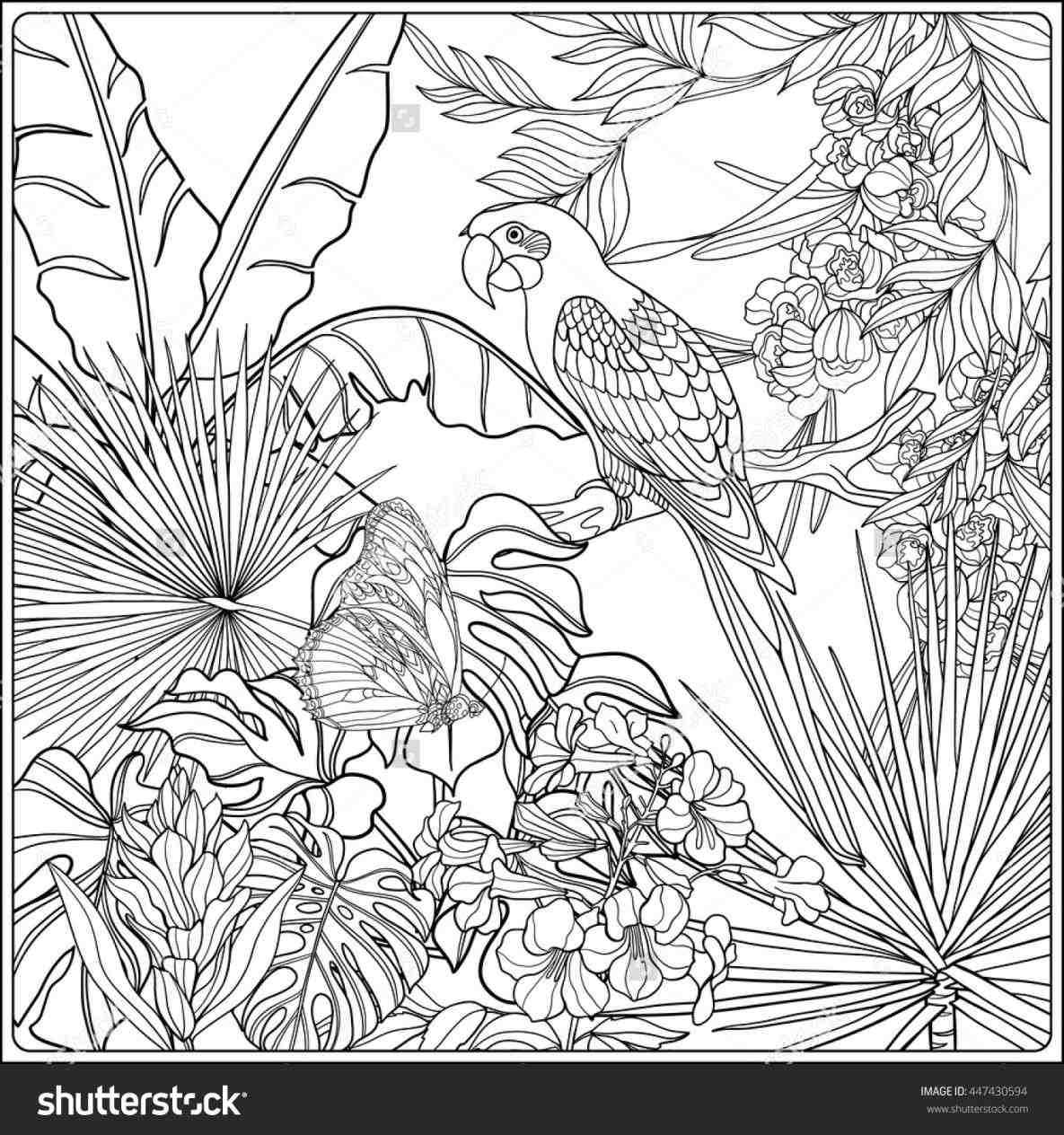 1185x1264 Jungle Plants Coloring Pages Of The Jungle Coloring Page Pages