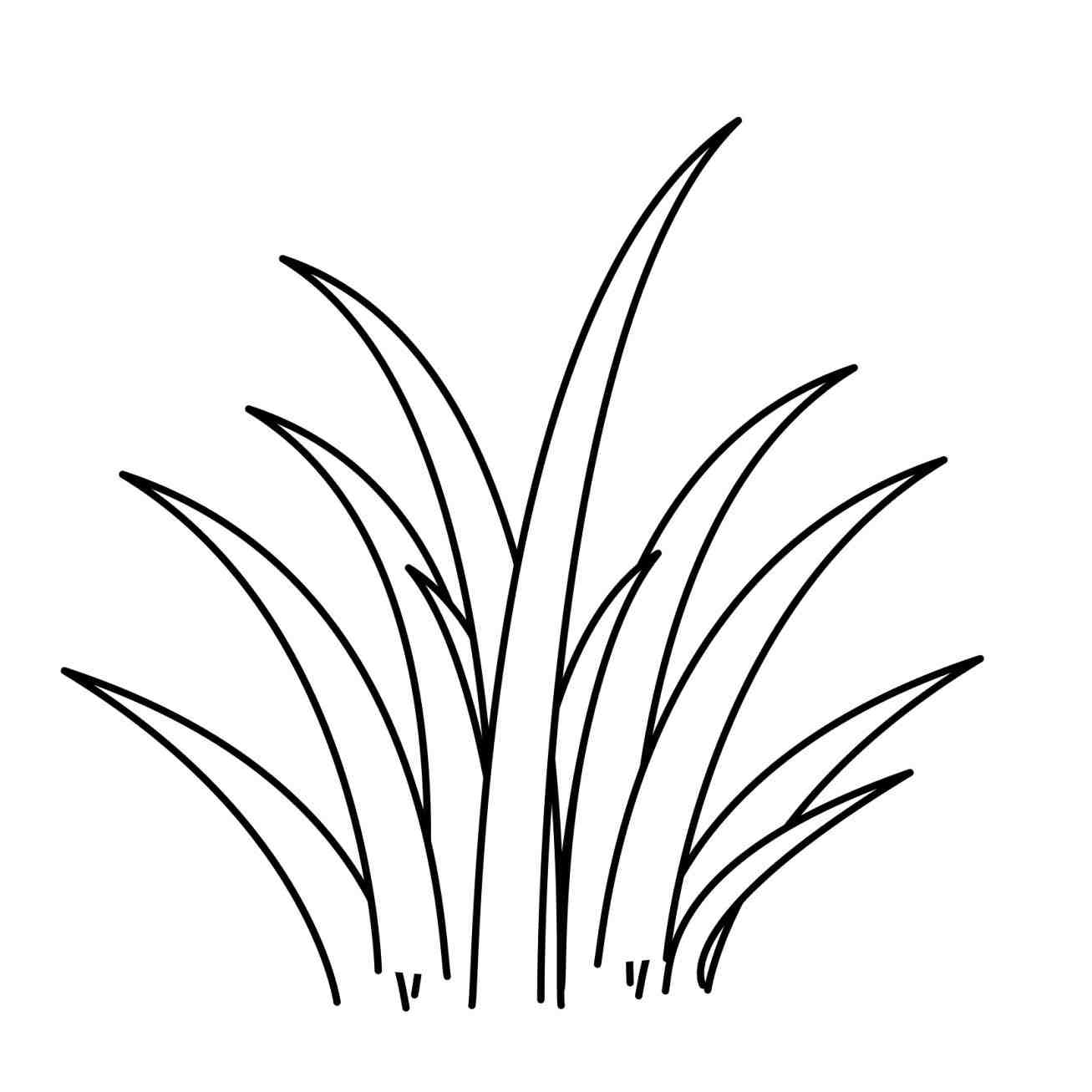 1307x1307 Plant Coloring Pages Rhggspluscom Forest Scene Google Search Work
