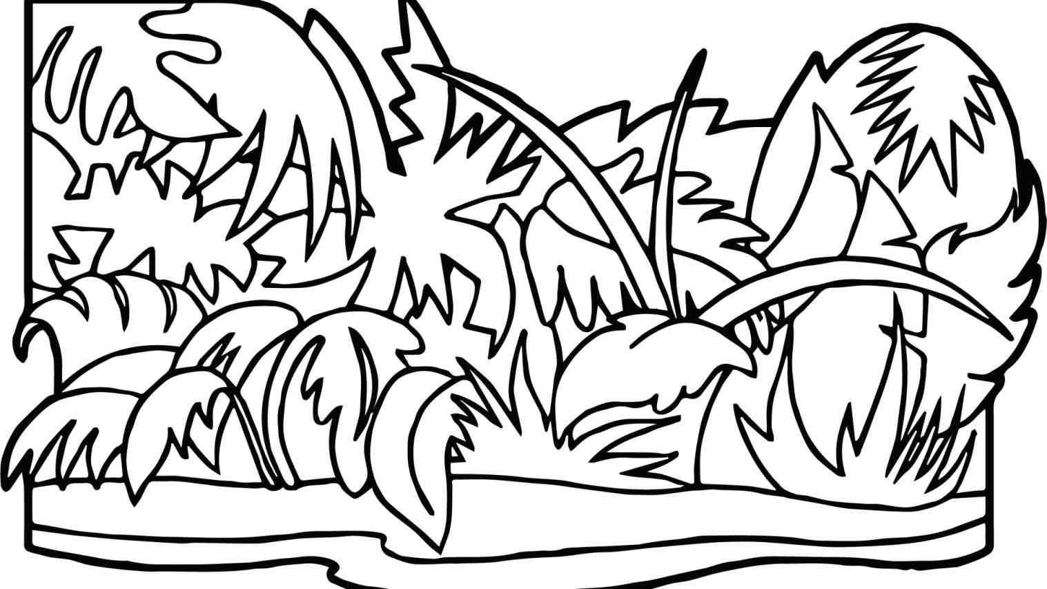 1517x853 Coloring Jungle Plants Coloring Pages Pictures
