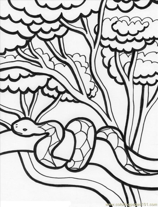 650x852 Rainforest Plants Coloring Pages Many Interesting Cliparts