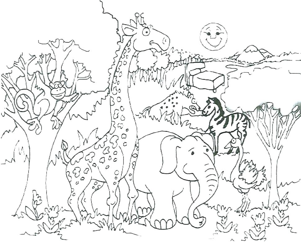 970x780 Jungle Printable Coloring Pages Coloring Pages Uresque Jungle