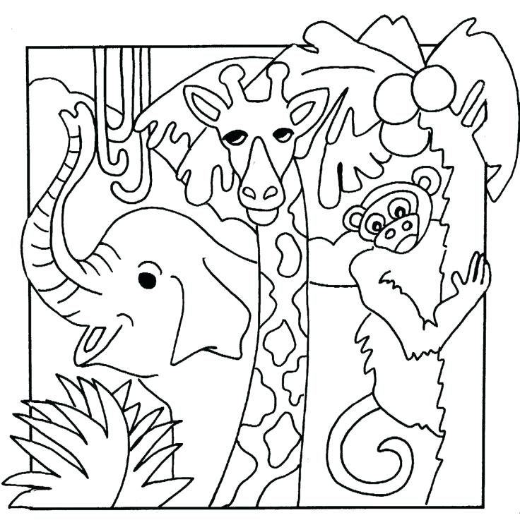 736x737 Jungle Printable Coloring Pages Jungle Printable Coloring Pages