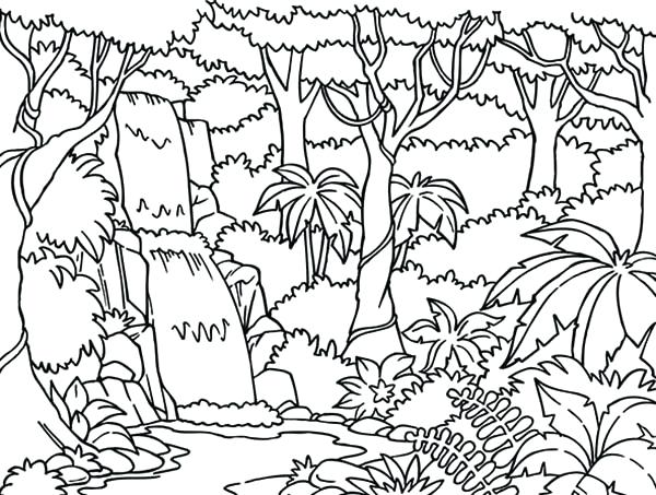 600x453 Jungle Coloring Pages Printable Jungle Printable Coloring Pages