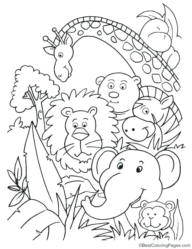 612x792 Zoo Animal Coloring Pages Also By Zoo Animal Coloring Pages Free