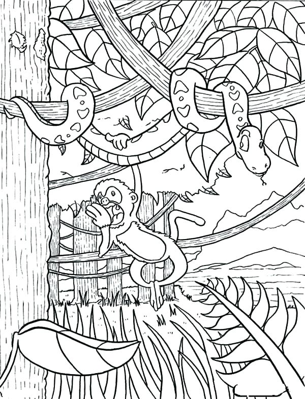 600x786 Coloring Pages And Coloring Books. Jungle Printable Coloring Pages