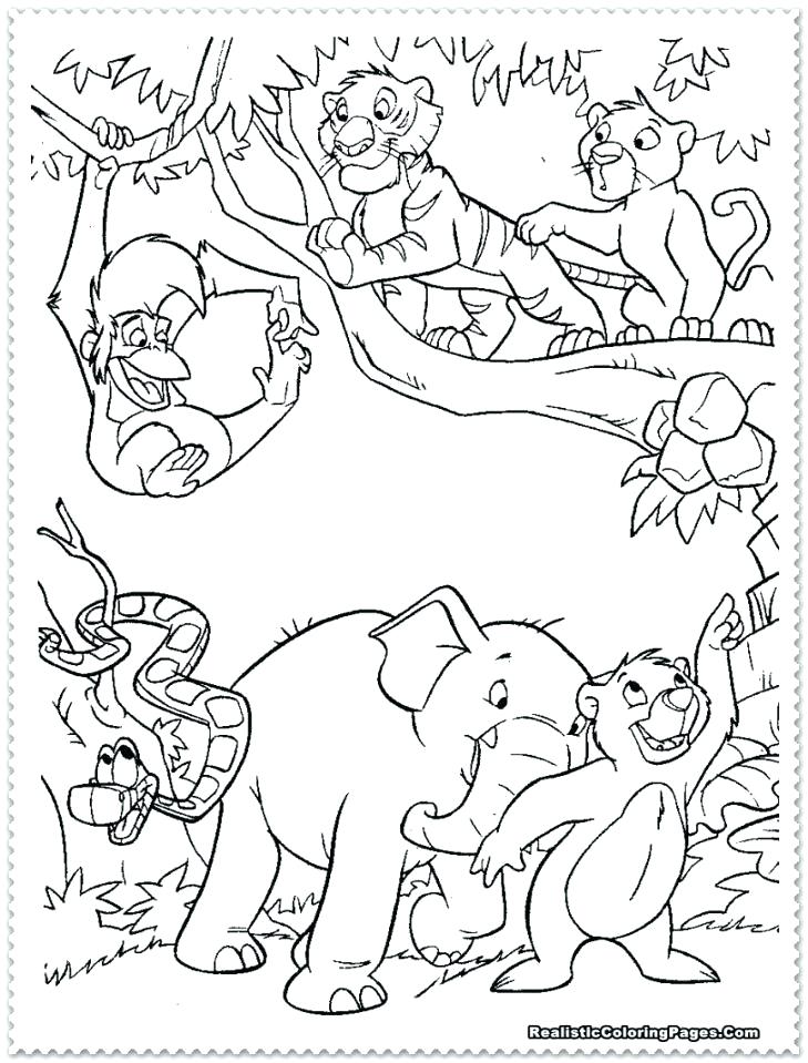 729x959 Jungle Animal Coloring Pages Jungle Coloring Page Jungle Animal