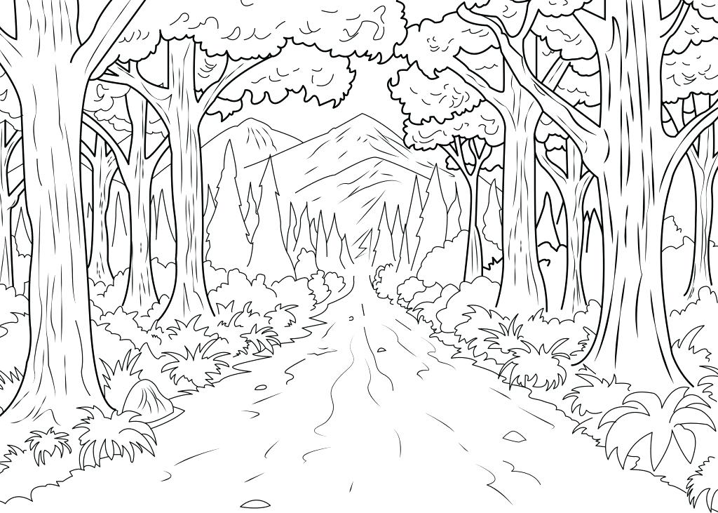1024x731 Jungle Coloring Pages Printable Download Jungle Coloring Pages