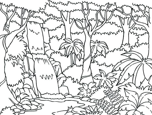 600x453 Jungle Coloring Pages Printable