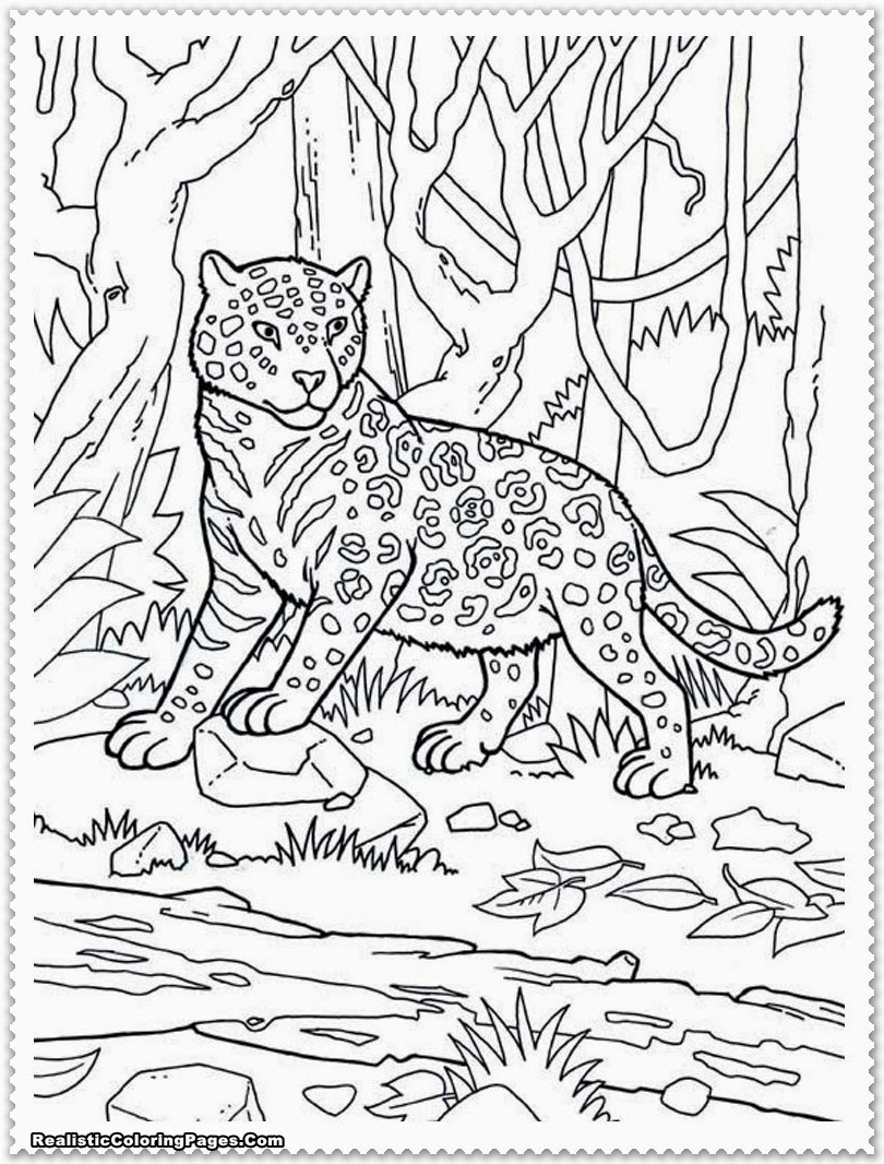 810x1066 Jungle Scene Coloring Pages
