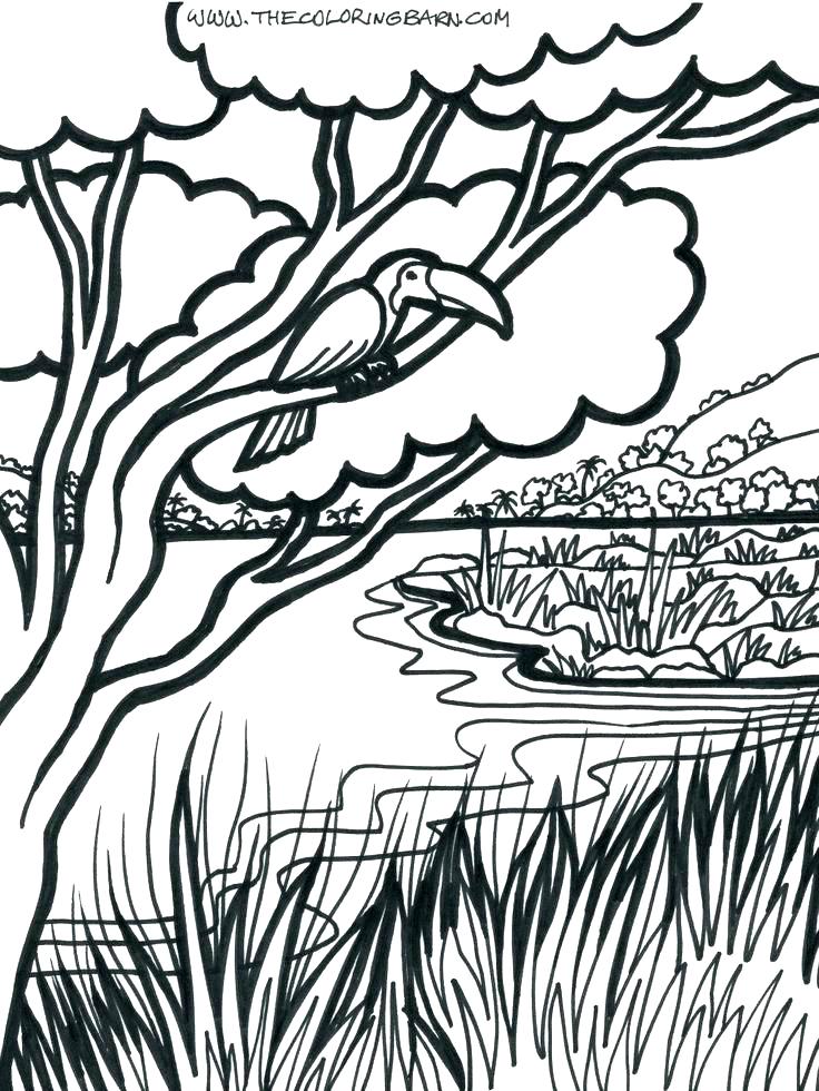 736x980 Jungle Coloring Page Power Rangers Jungle Fury Coloring Pages